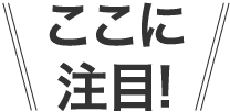 ここに注目