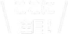 ここに注目