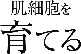 肌細胞を育てる