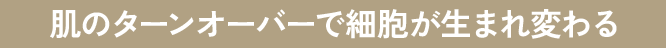 肌のターンオーバーで細胞が生まれ変わる