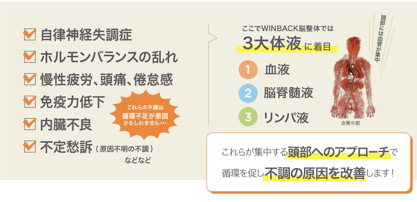 3大体液に着目！